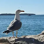 Apartman Arioso