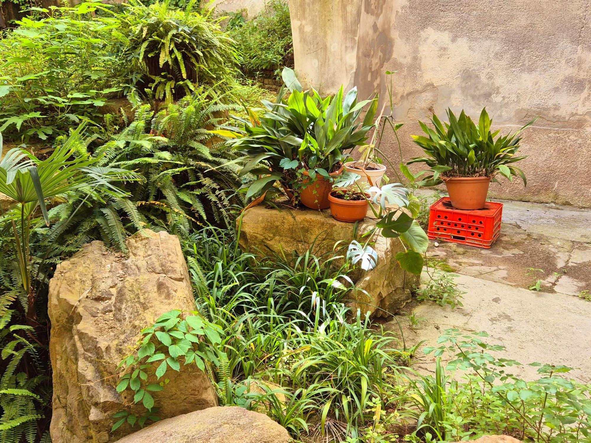 Arioso Apartma
